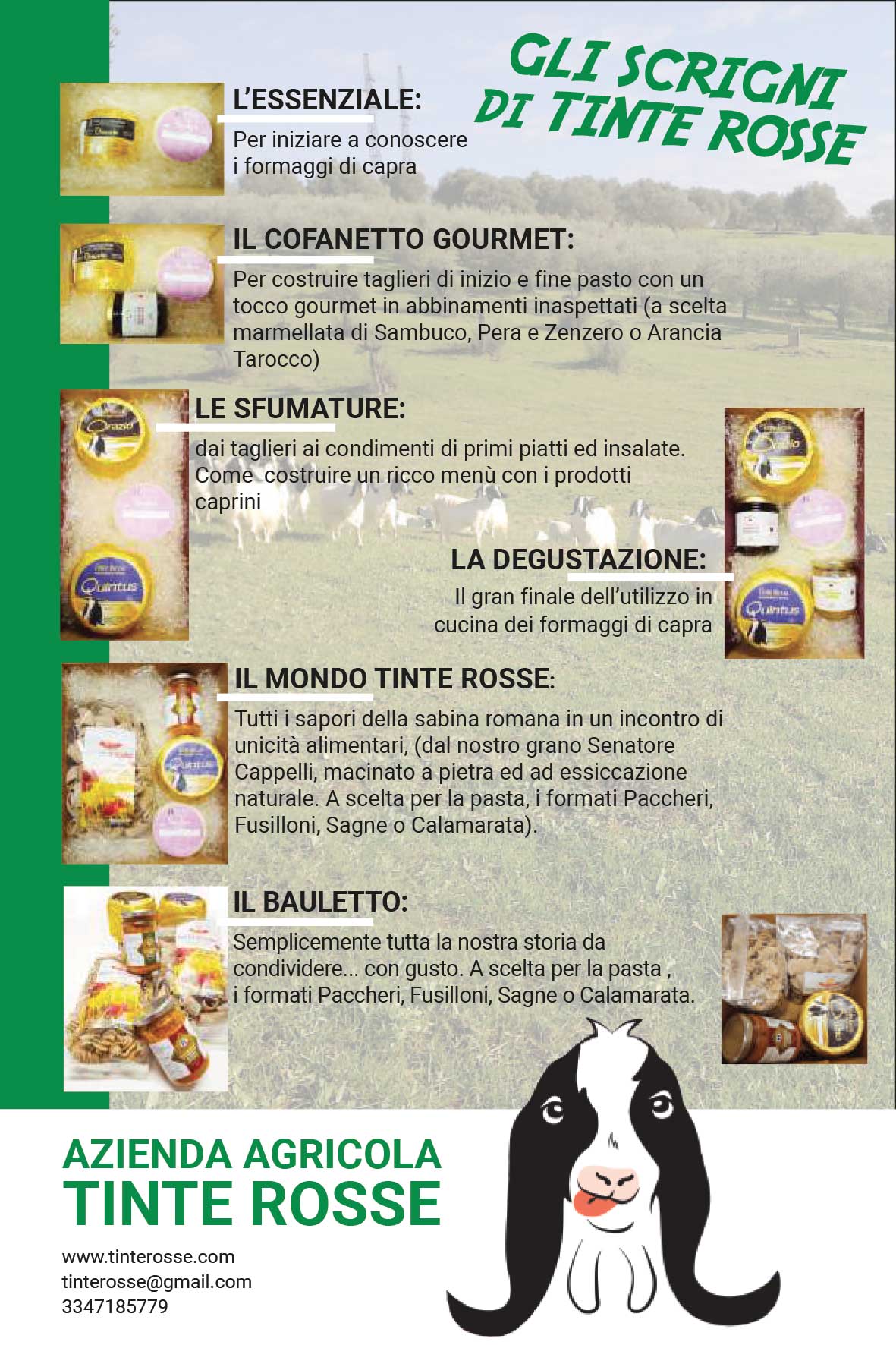 Immagini Box Natale 2021 dell'Azienda Agricola Tinte Rosse