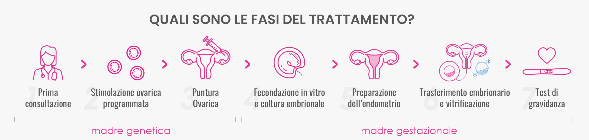 Immagine 7 Fasi del trattamento