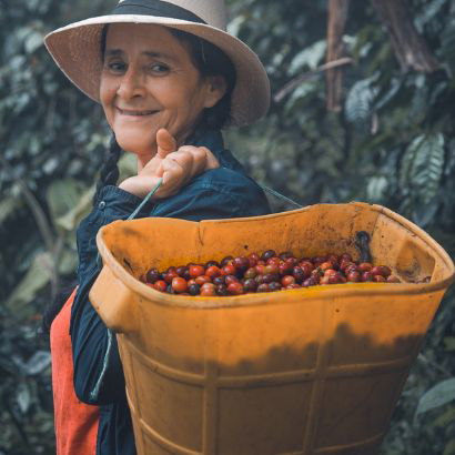 signora Colombiana raccoglie ciliegie
