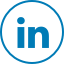 icona linkedin