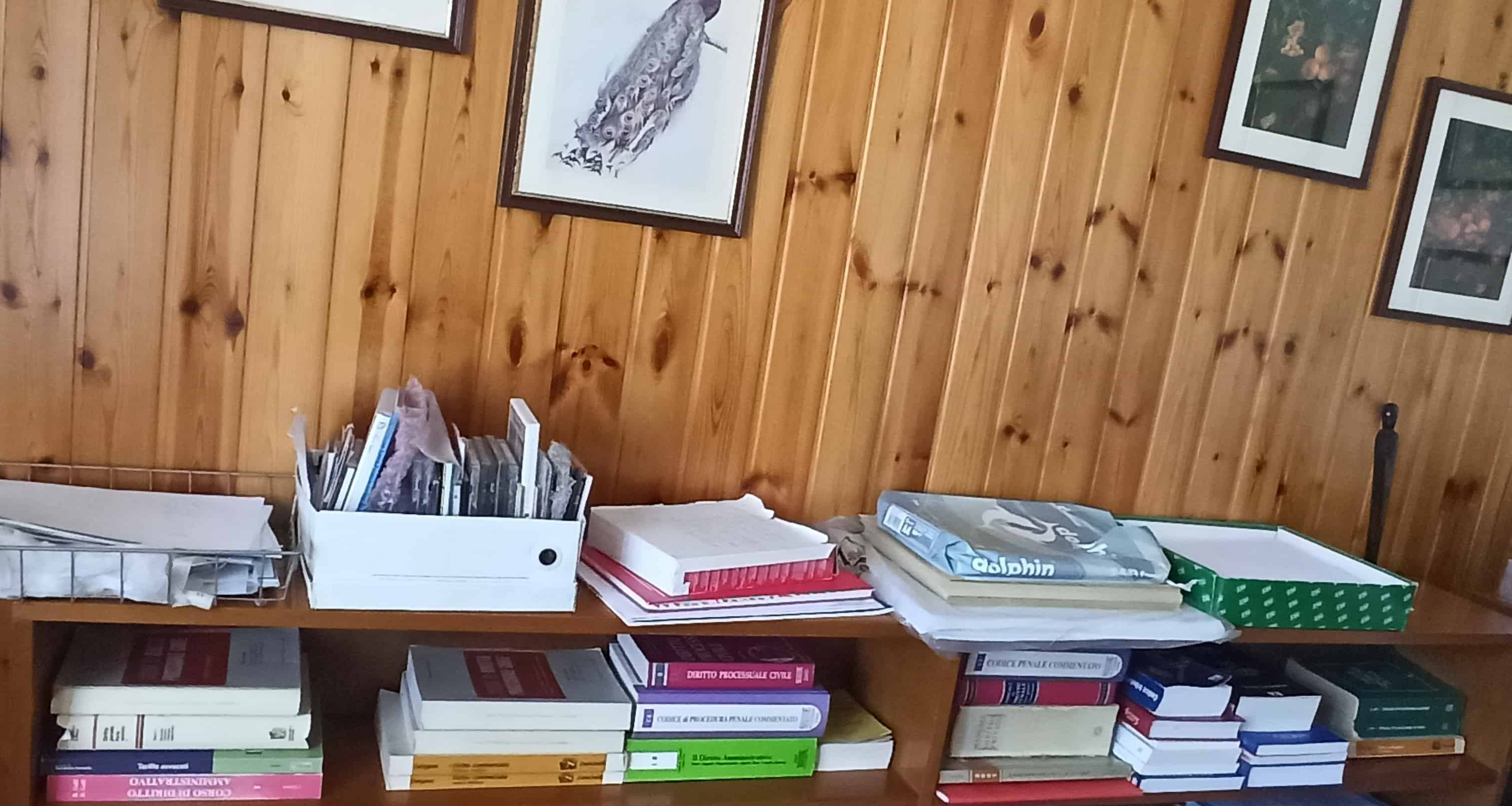 studio Marengoni