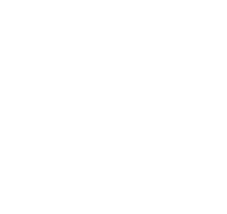 Icona Instagram