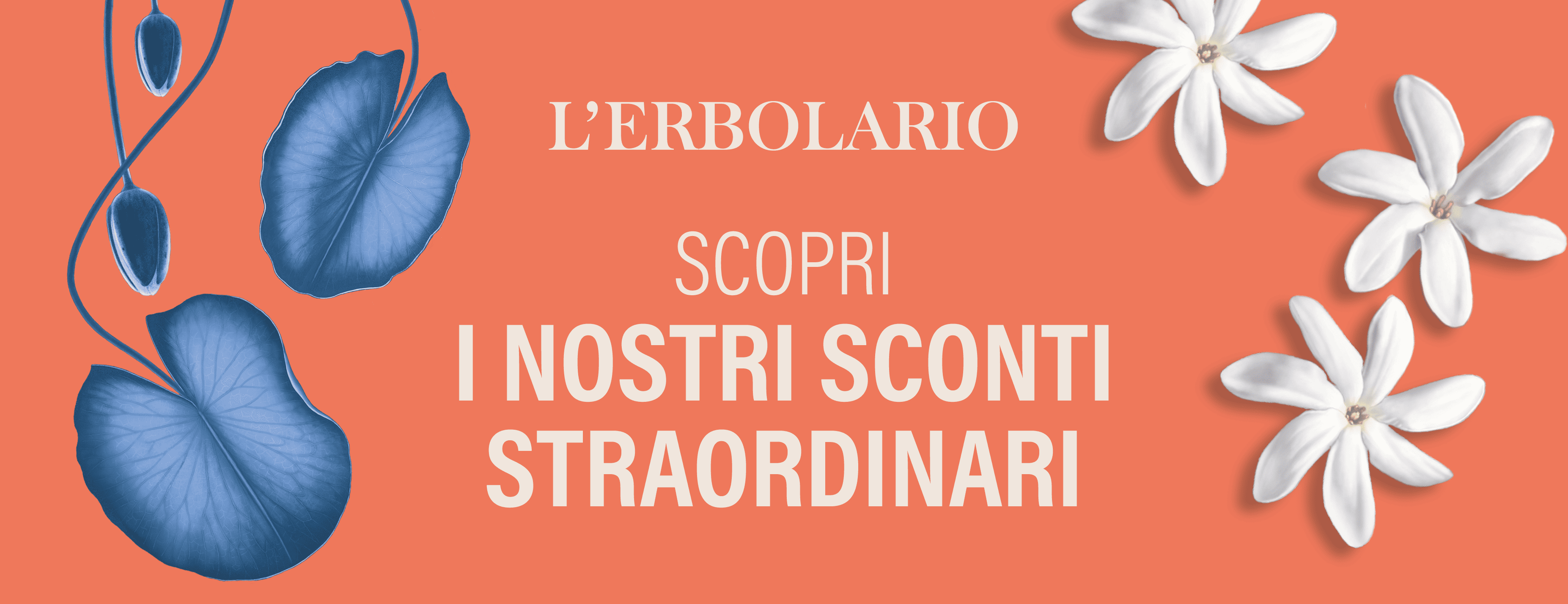 immagine prodotti