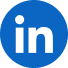 icona Linkedin
