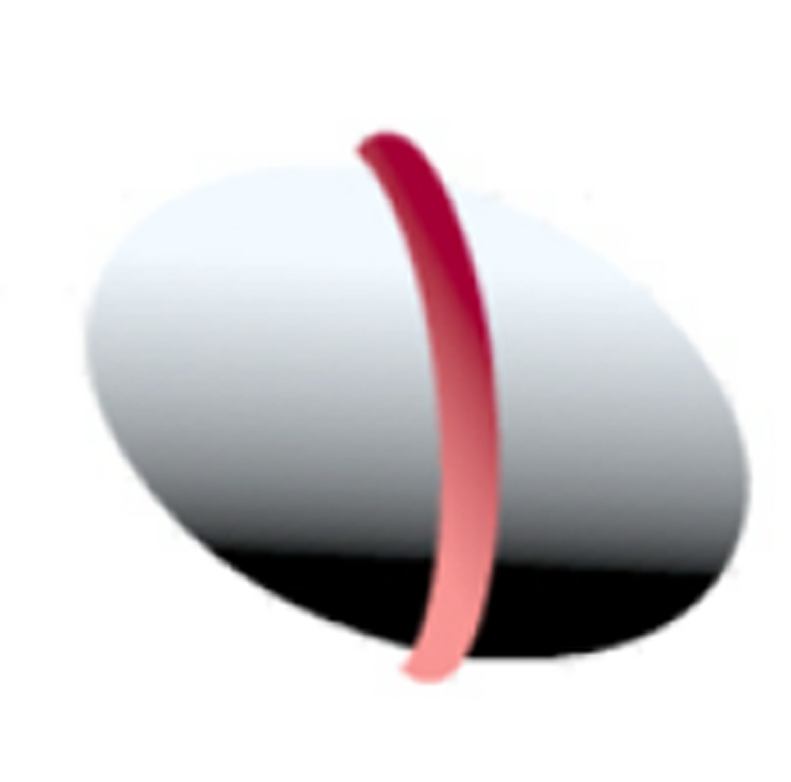 logo Ducato Trading