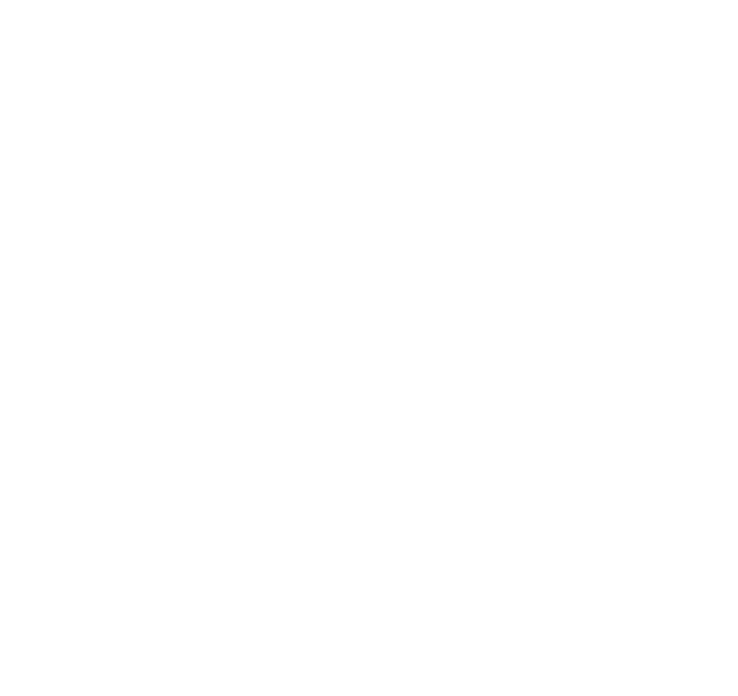 Icona Whatsapp