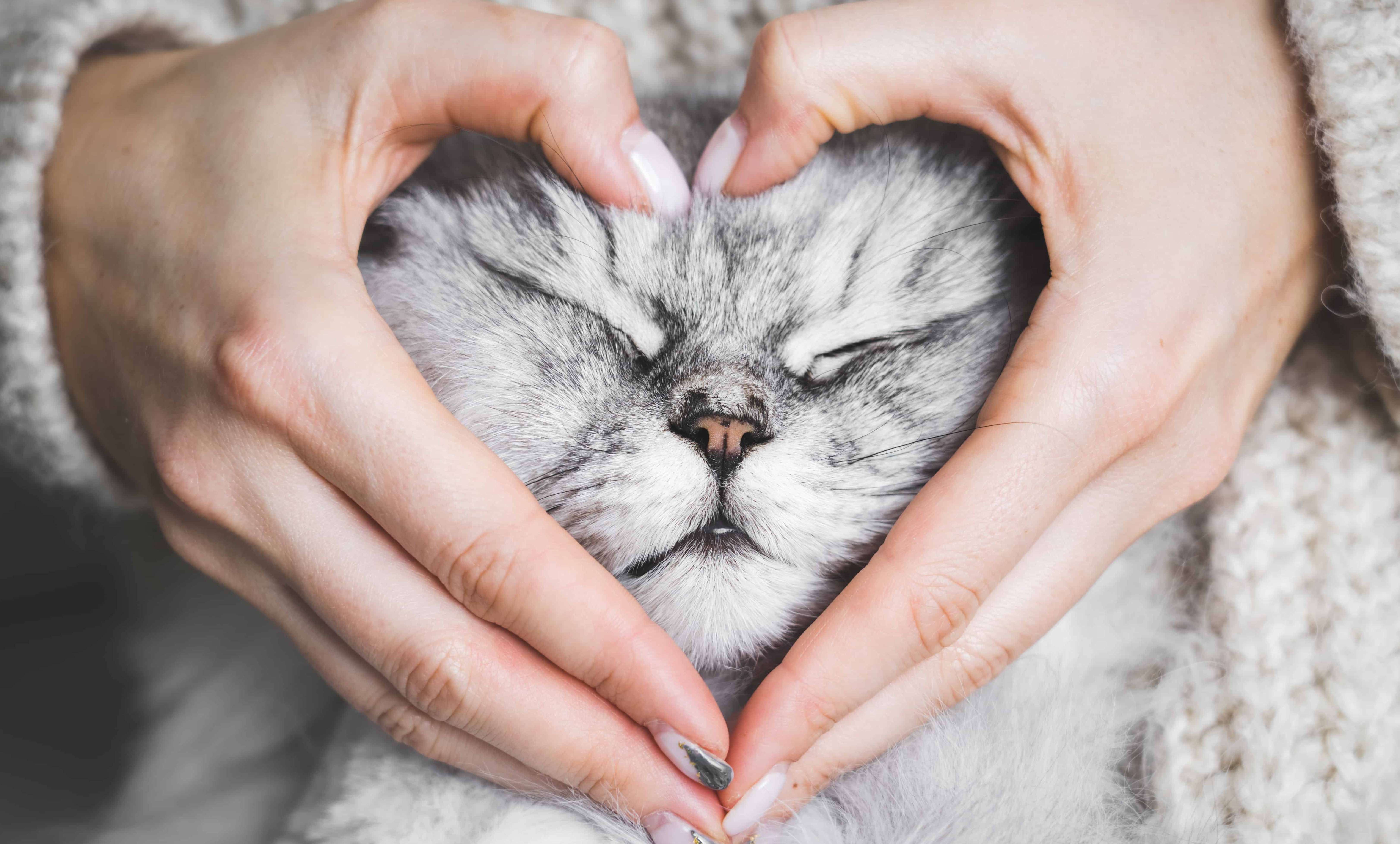 Logo RCA BROKER