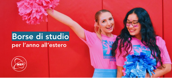 borse di studio per anno all'estero