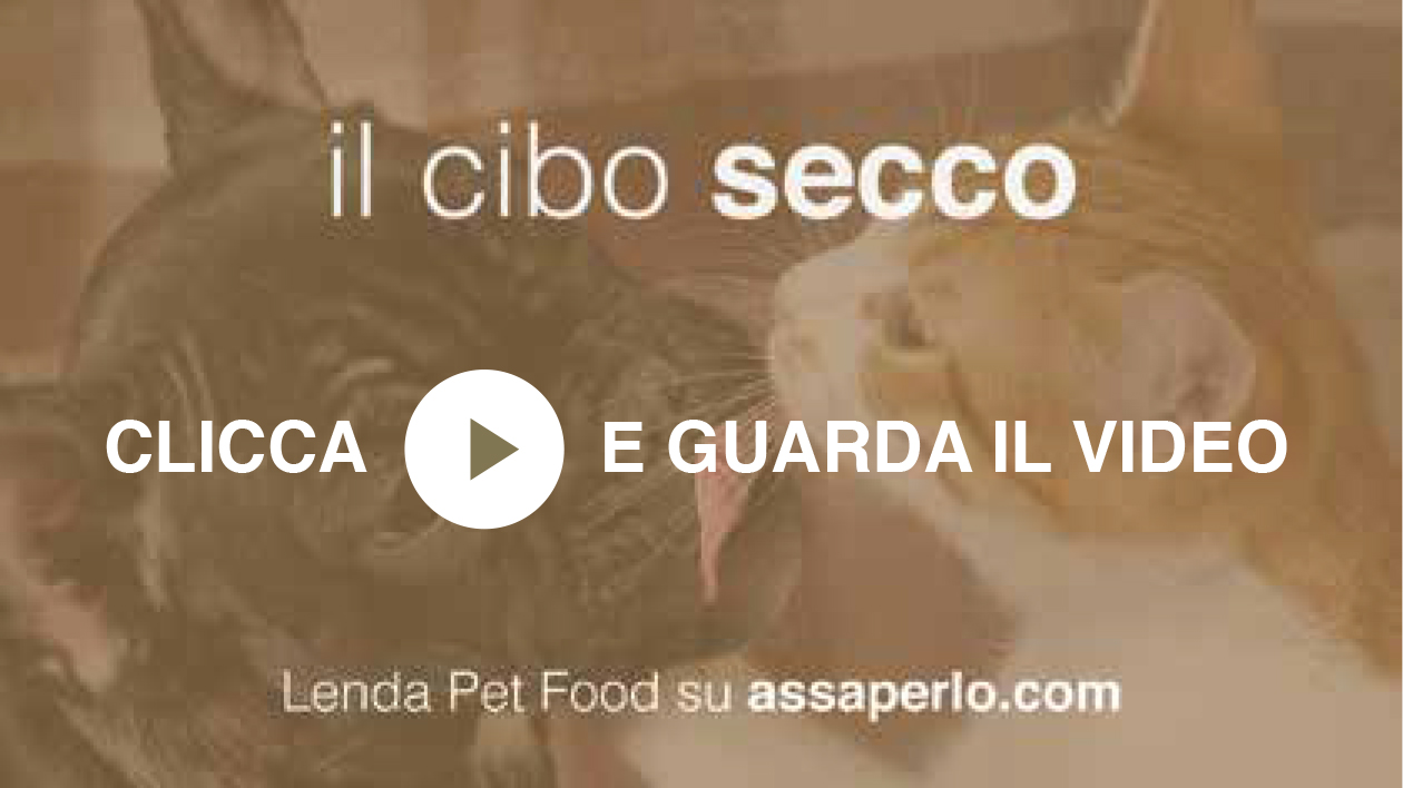 video cibo secco