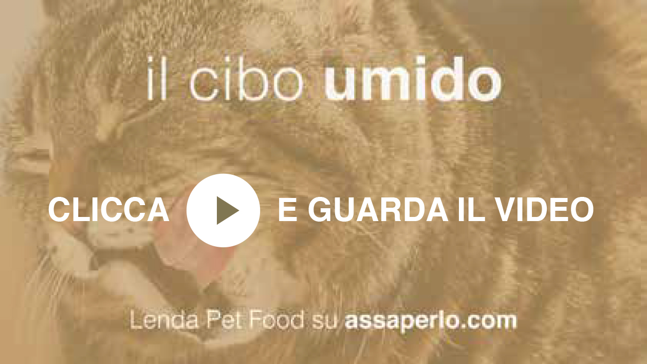 video cibo umido