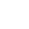 icona Instagram