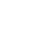icona Linkedin