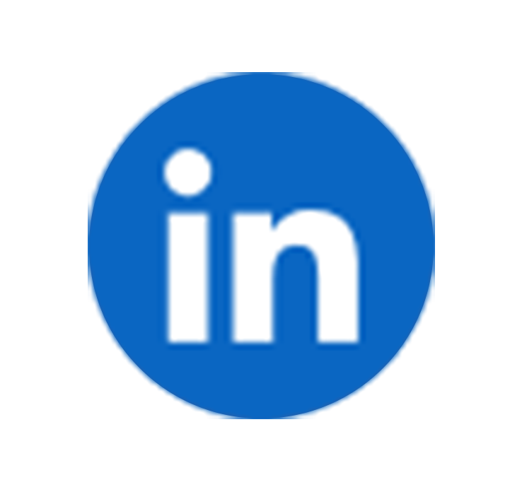 icona linkedin