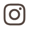 icona instagram