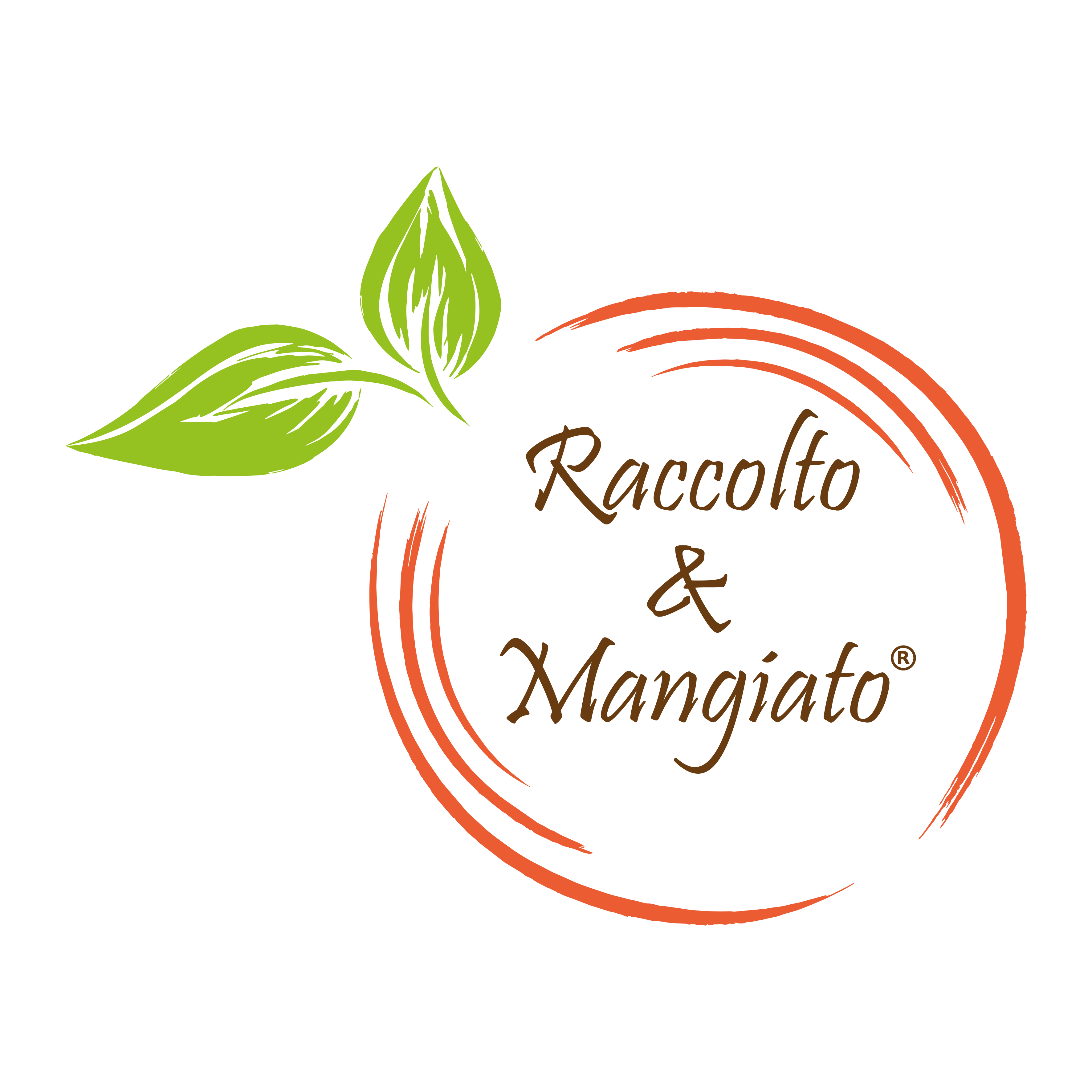sito Raccolto&Mangiato 