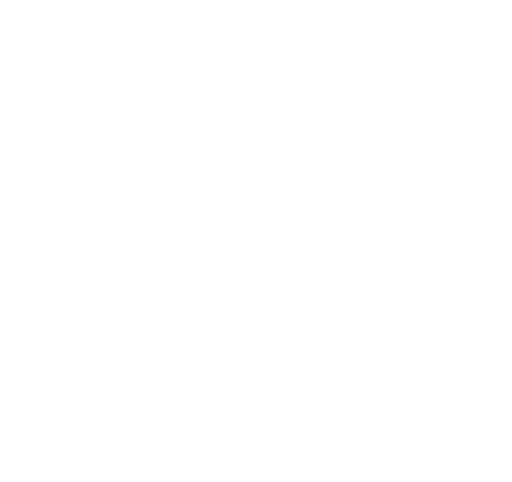 Icona Internet