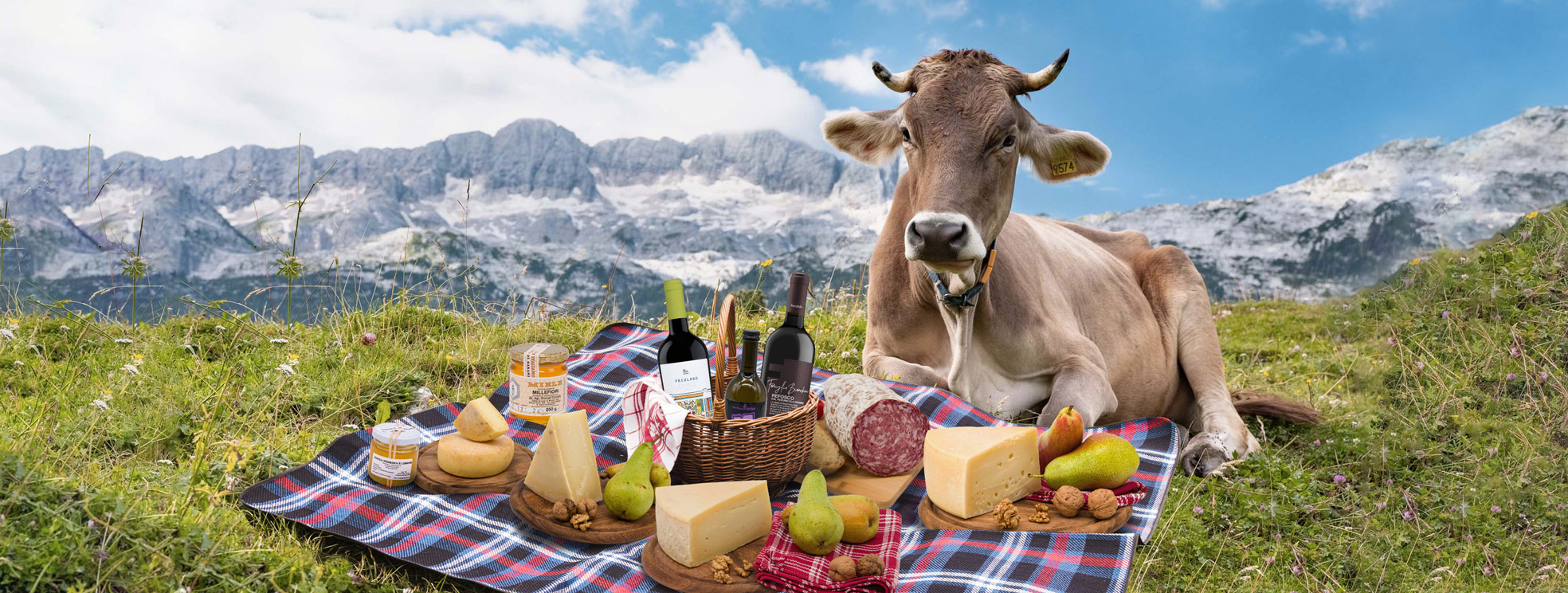pic nic - malga montasio