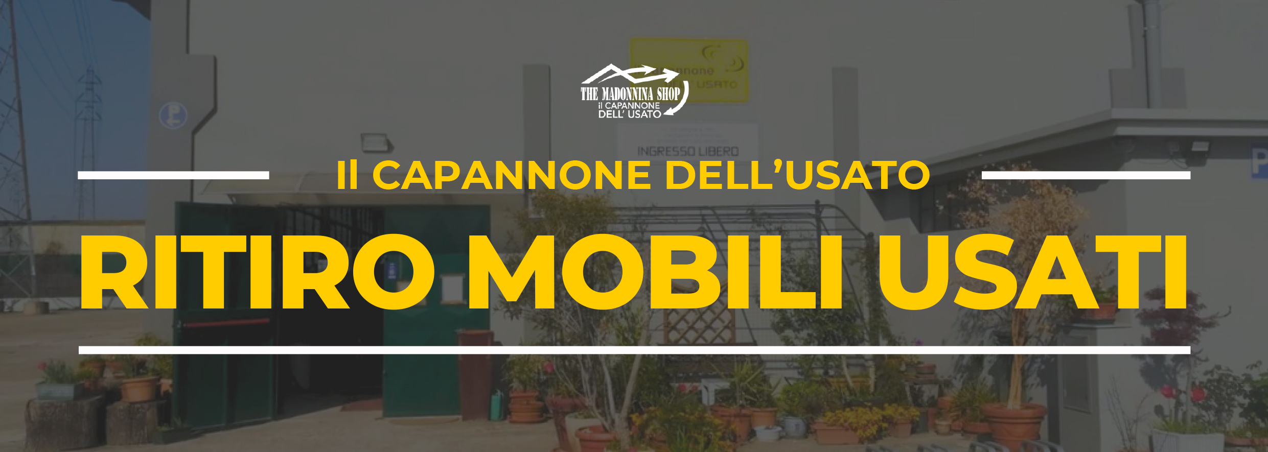immagine testata