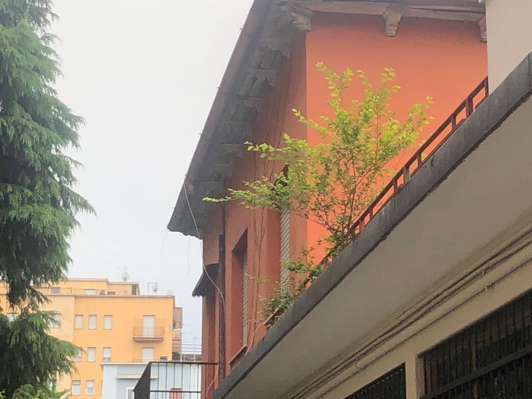 Immagine Quadrilocale Brescia