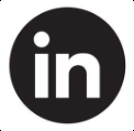 icona linkedin