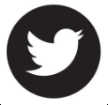 icona twitter