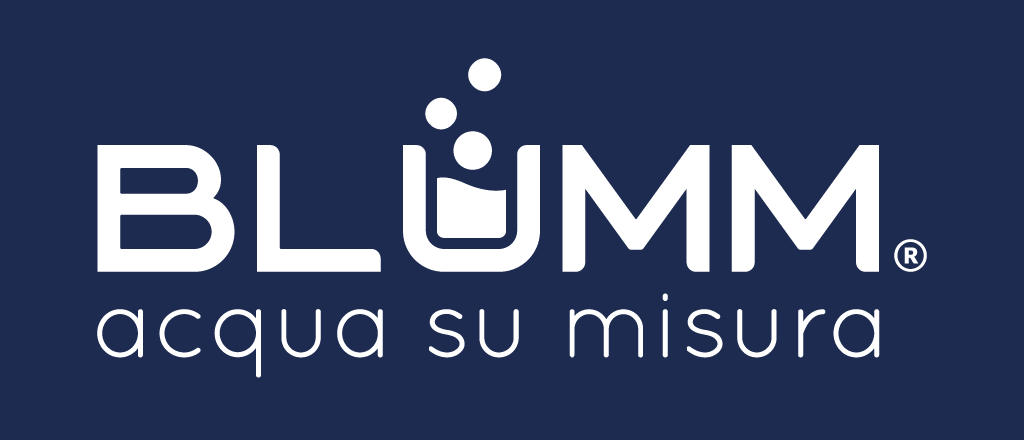logo Blumm
