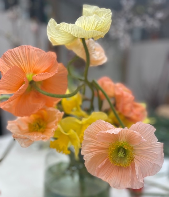 foto fiori