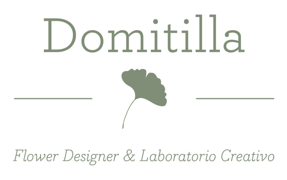 Logo domitilla