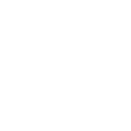 icona facebook
