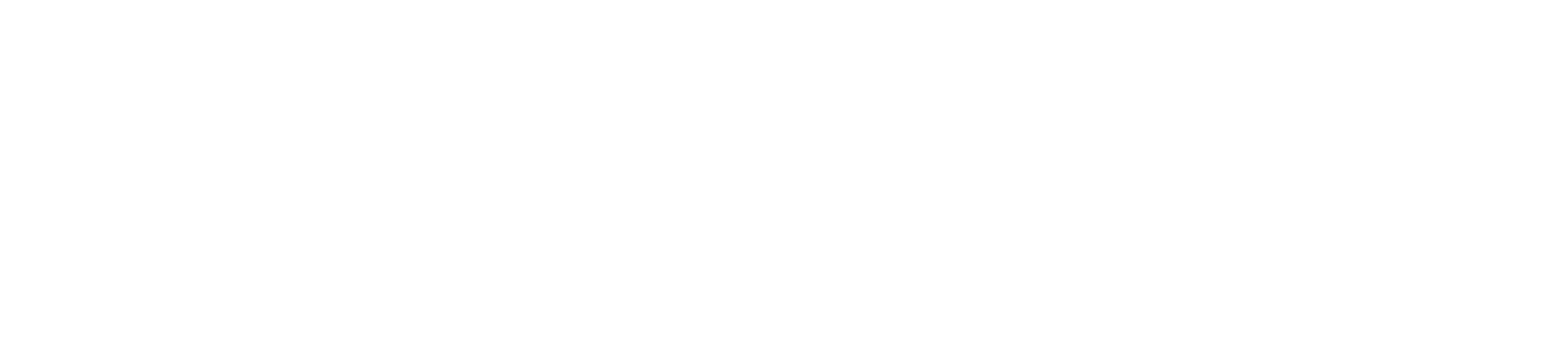 logo Rivauto
