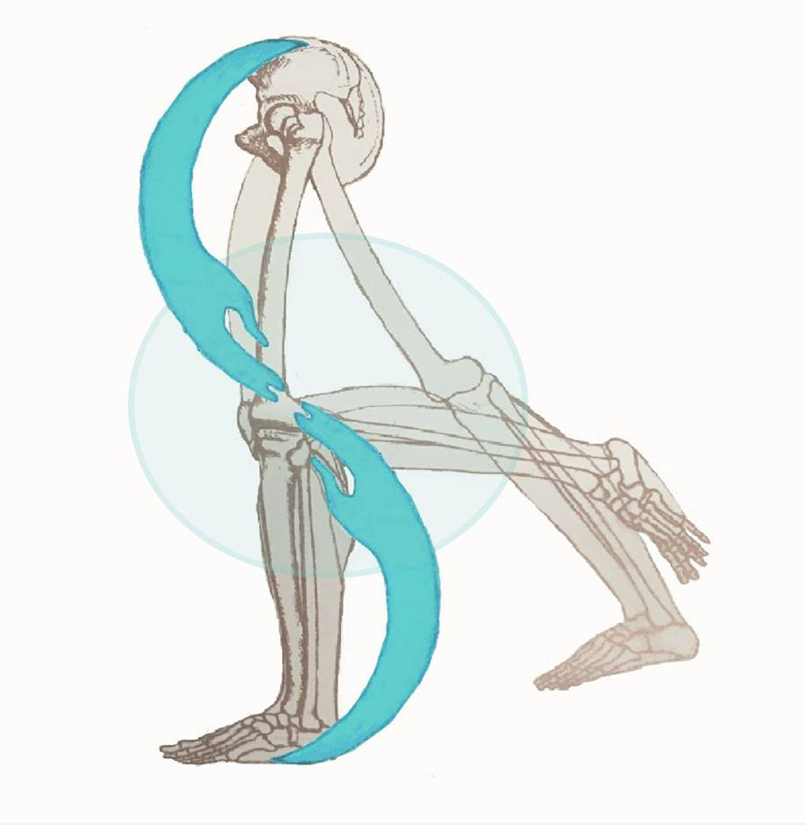 Logo Achille Santoro - Osteopata