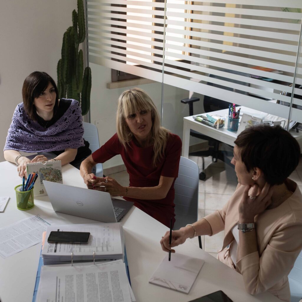 DVM consulenza