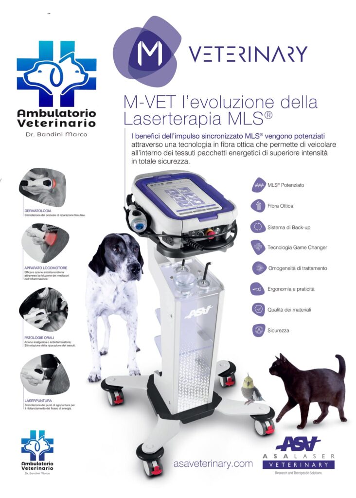 Ambulatorio Veterinario Canali