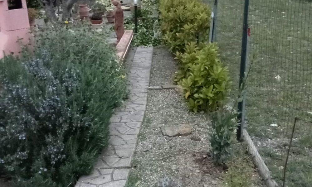 Riccardo Monni – Cura e manutenzione del verde