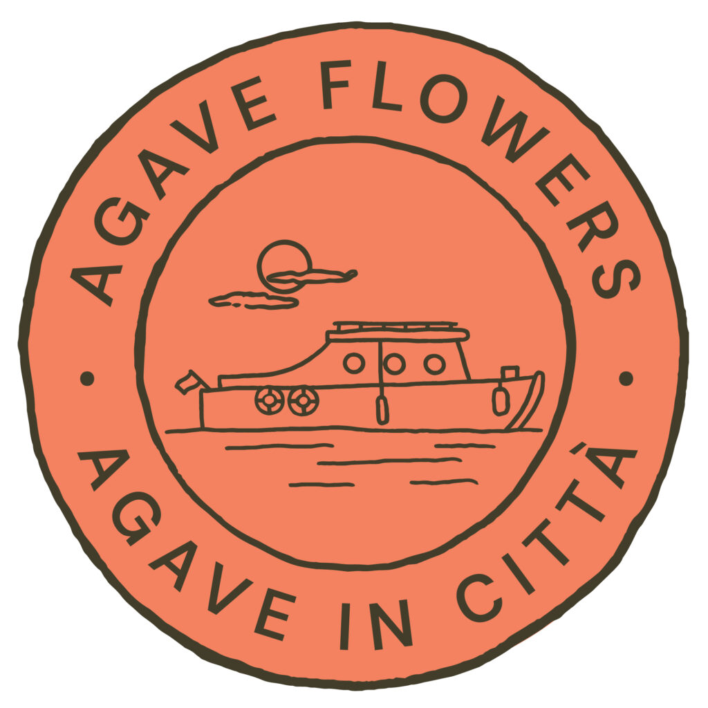 Agave in Città