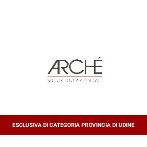 Studio Archè srl – Soluzioni Aziendali