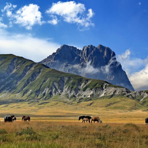 Abruzzo Wild
