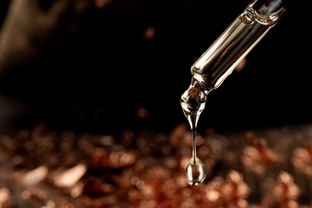 Elisidra – È tempo di Bellezza