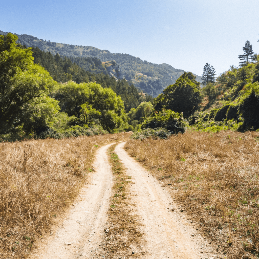 Floresta Escursioni