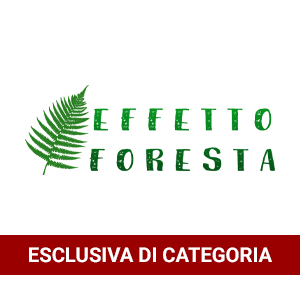 Effetto Foresta