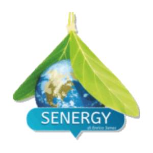 Senergy