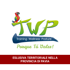 TWP Palestre