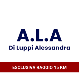 Pratiche Auto Ala