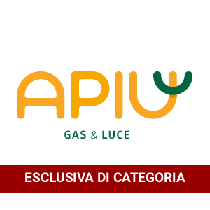 Apiù Gas&Luce Srl
