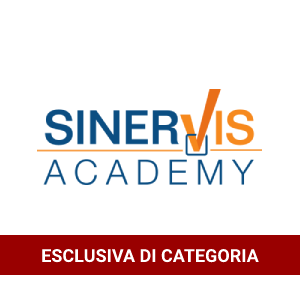 SinerVis Academy