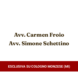 Studio Legale Avv. Froio & Avv. Schettino