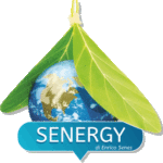 Senergy