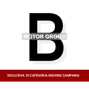 Kia Motor Group SRL