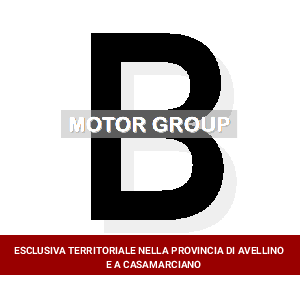 Kia Motor Group SRL