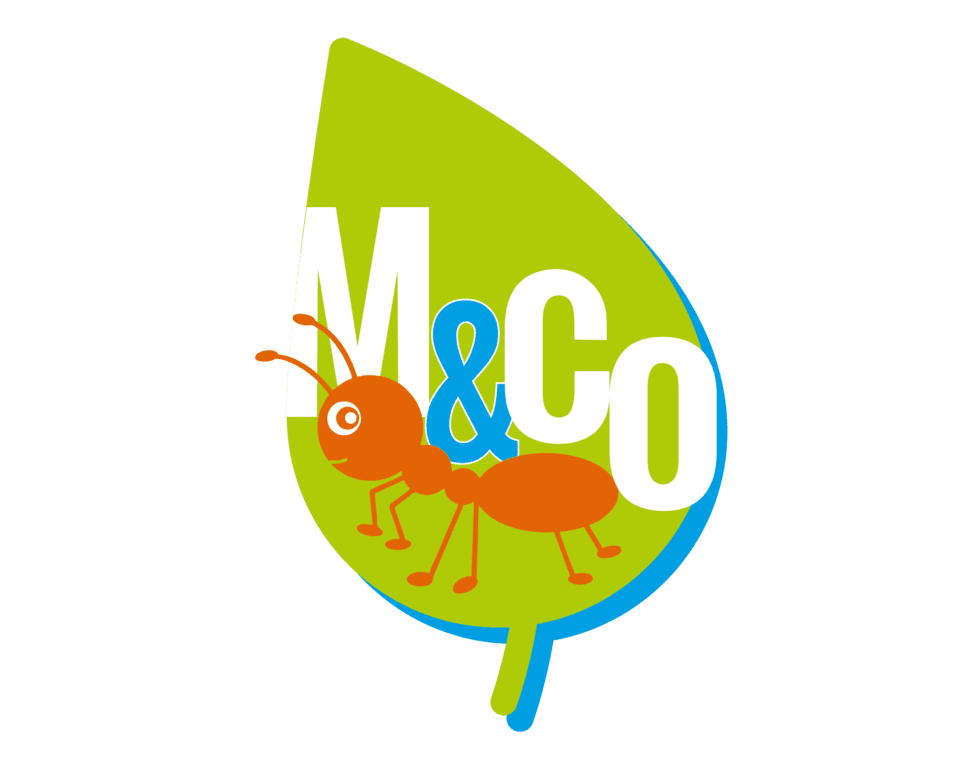 M&CO Disinfestazioni